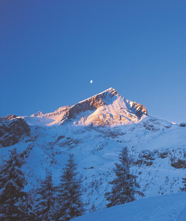 Ferienwohnungen Zugspitze 그라이나우 외부 사진